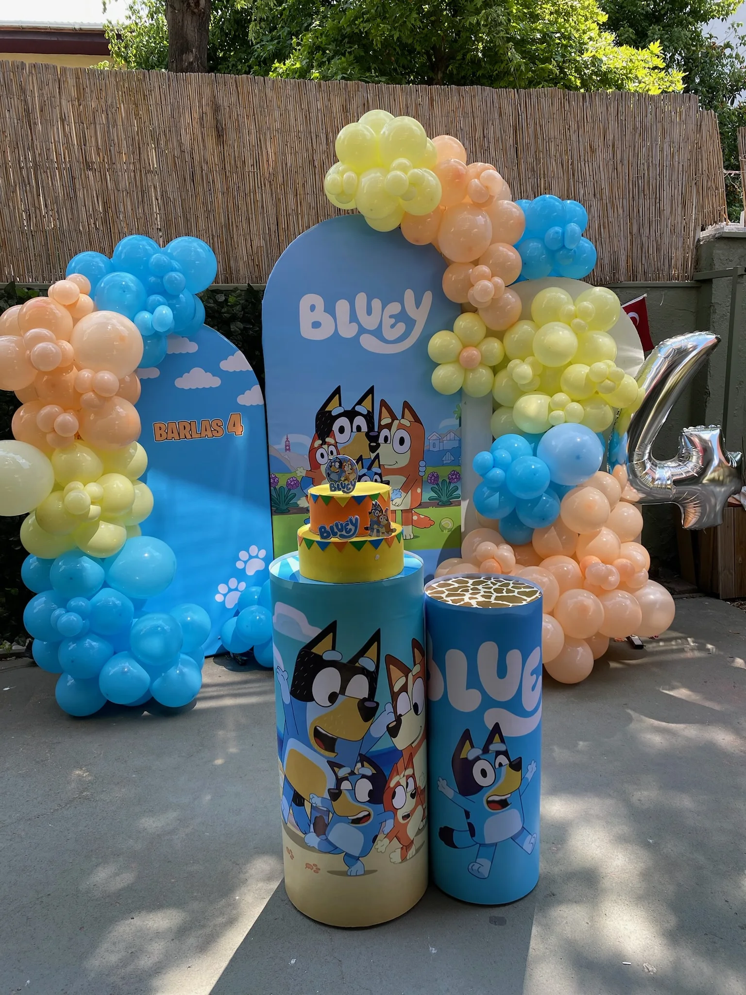 Bluey Doğum Günü Konsepti kurulum görseli 1