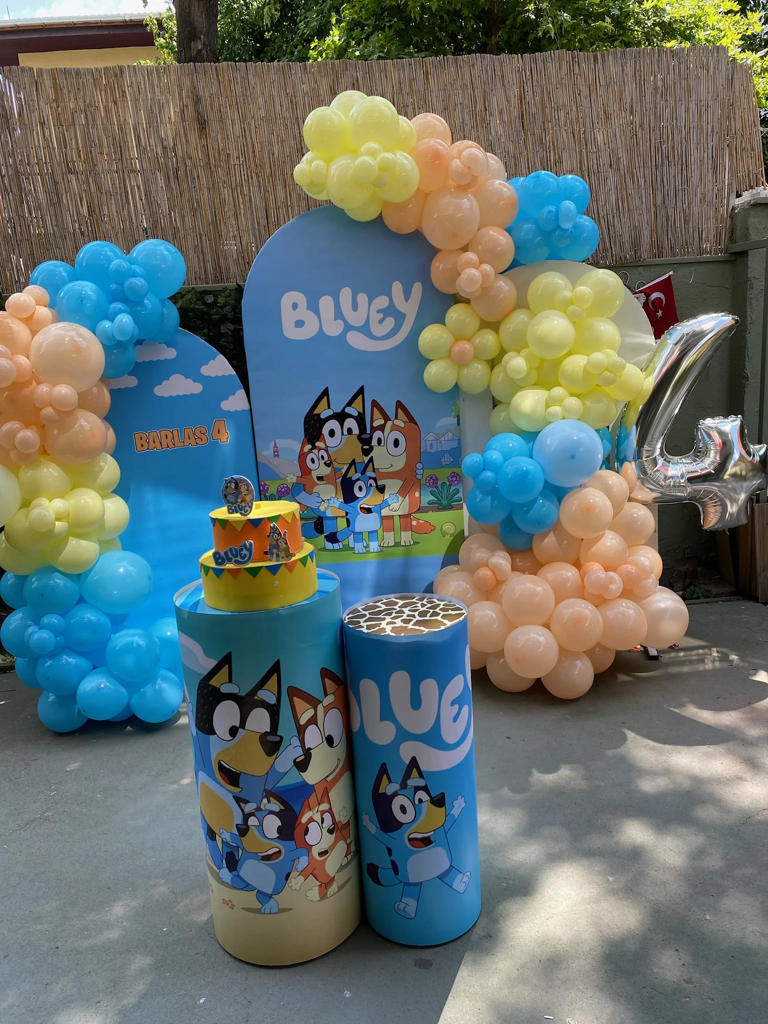 Bluey Doğum Günü Konsepti kurulum görseli 2