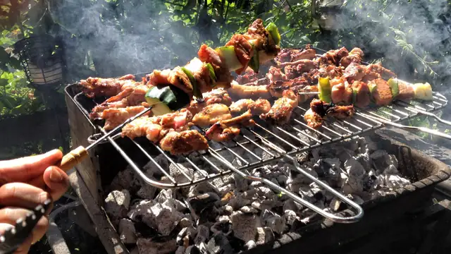 Mangal Partisi Organizasyonu