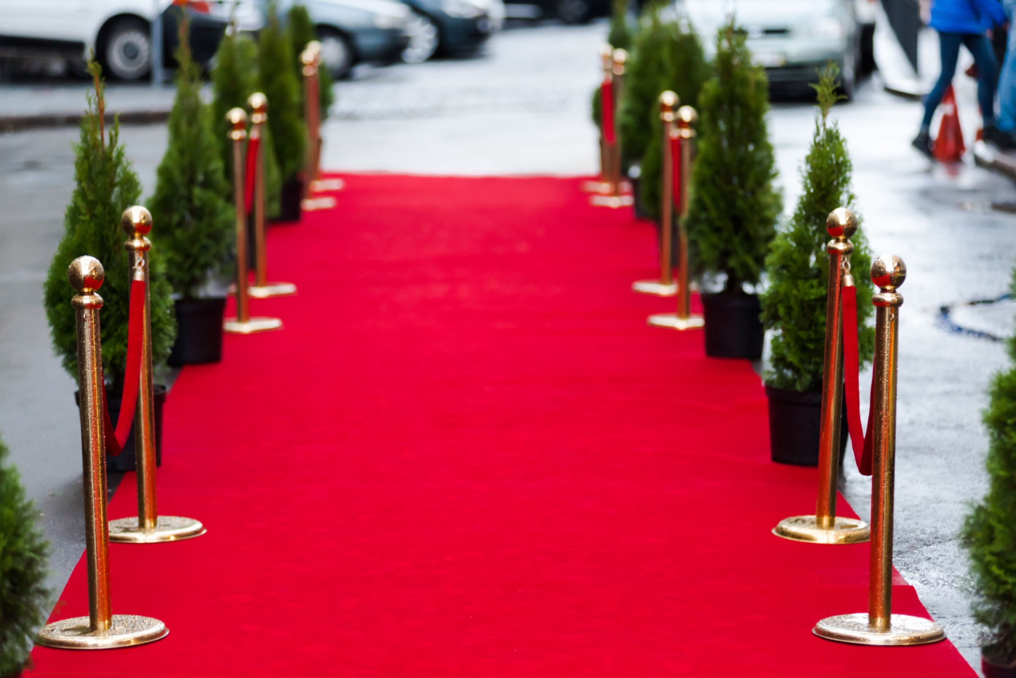 Açılış Organizasyonu görseli