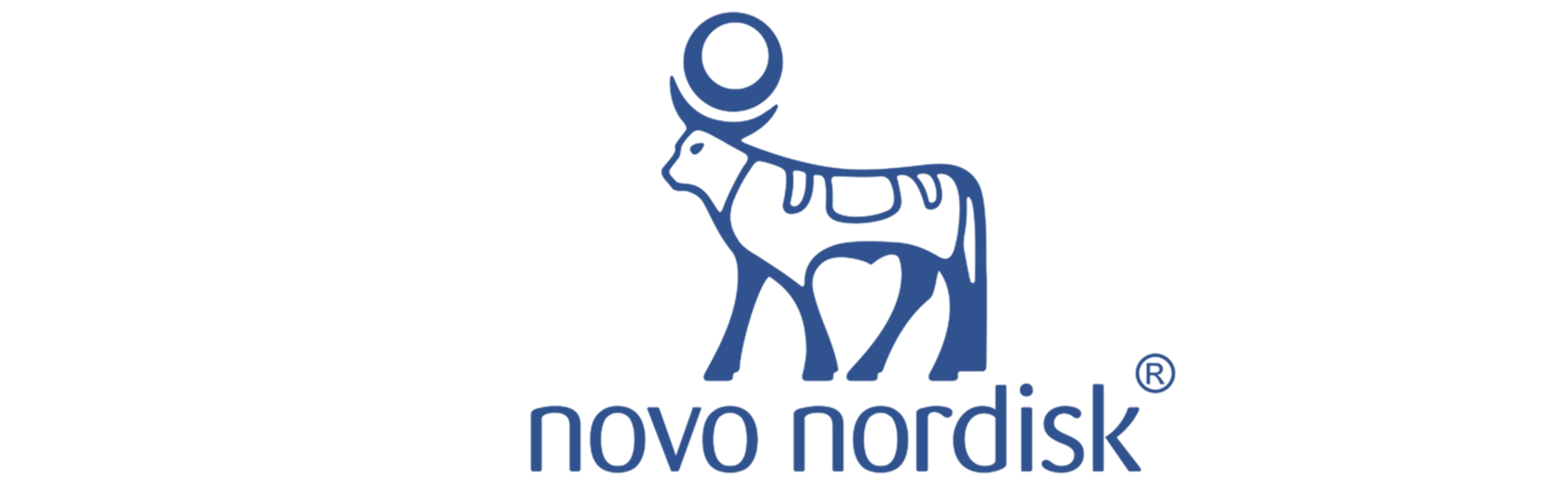 Firma 15 tur organizasyonu referansı